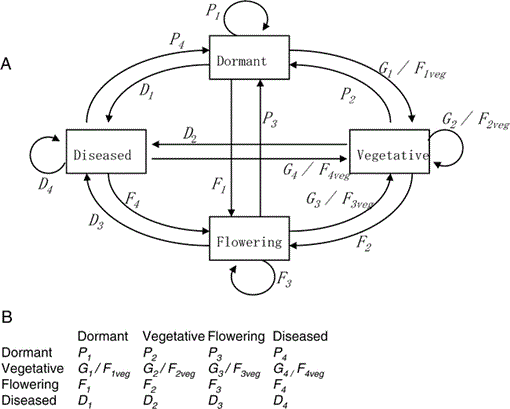 i1523-0430-40-3-561-f01.gif