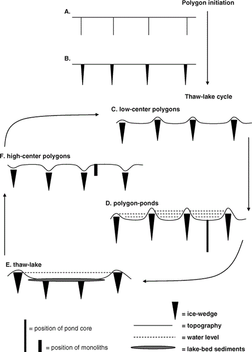 i1523-0430-40-4-624-f02.gif