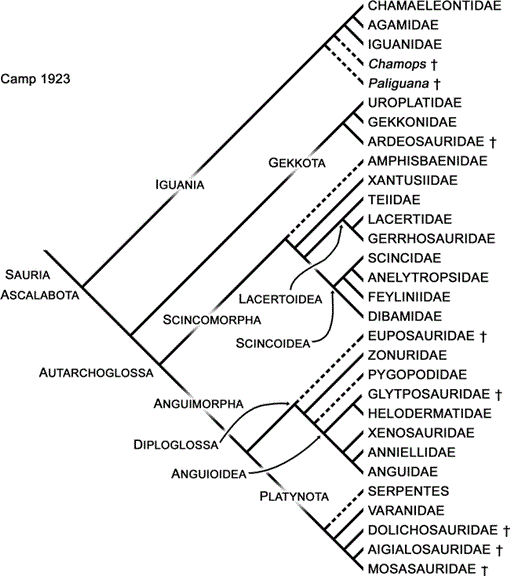 i0003-0090-310-1-1-f01.gif