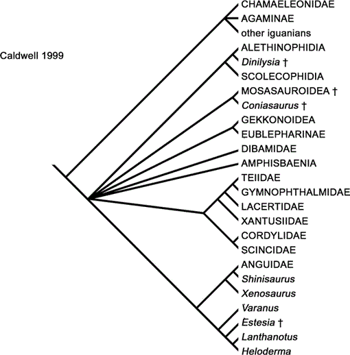 i0003-0090-310-1-1-f08.gif