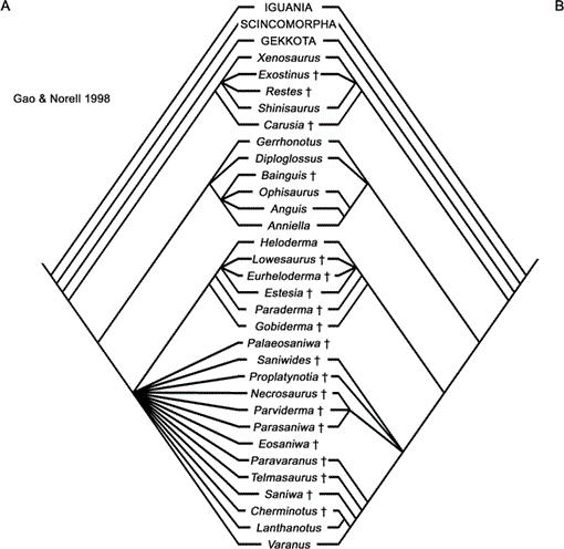 i0003-0090-310-1-1-f11.gif