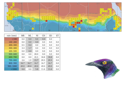 img-AuV_07.jpg