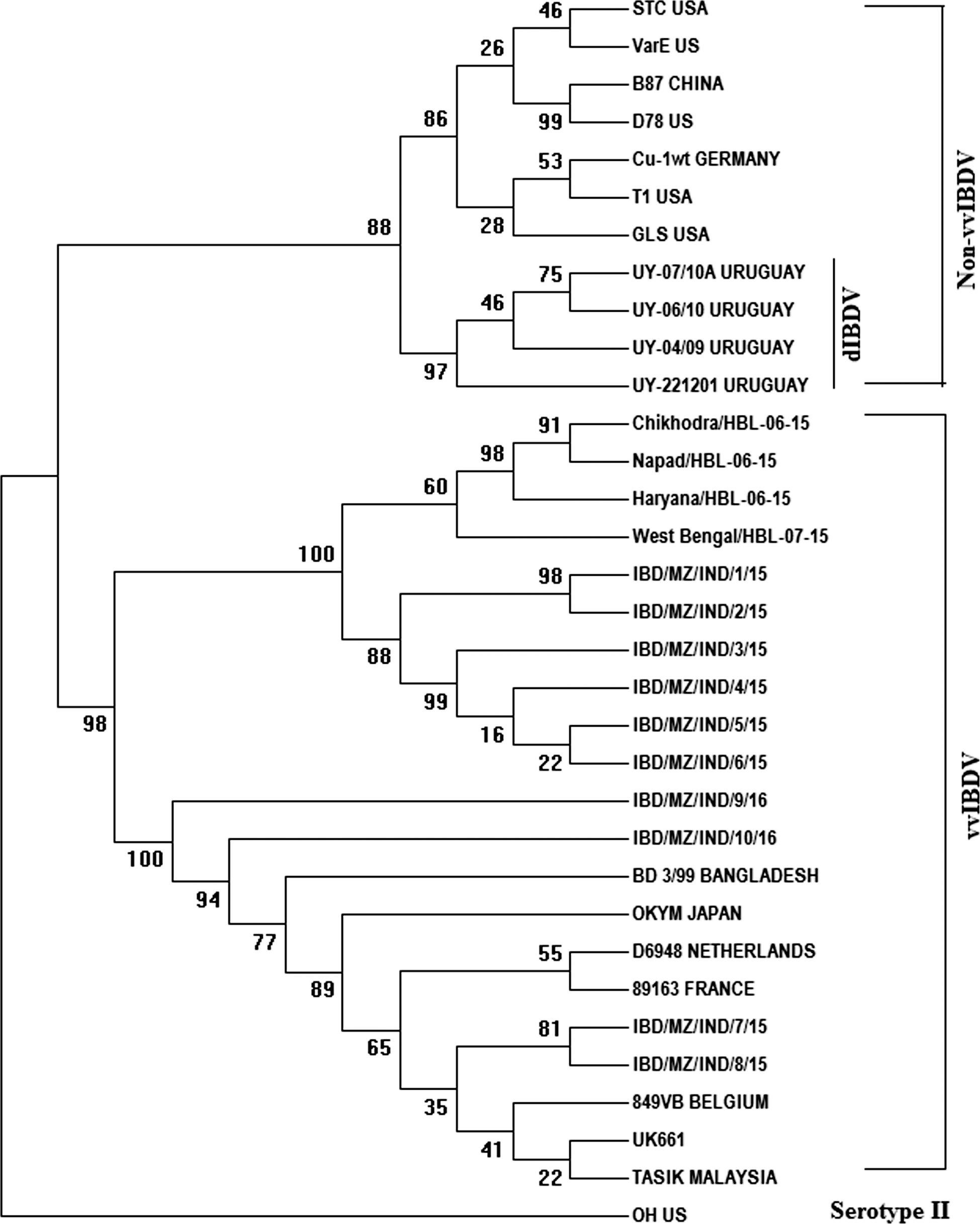 Genetic Characterization Of Infectious Bursal Disease Viruses From Field Outbreaks Of The North East Region Of India