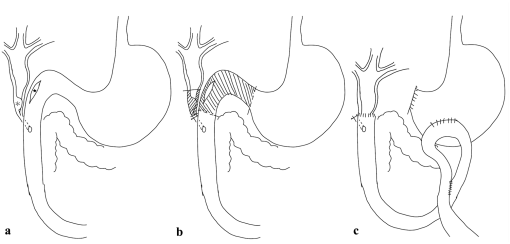 10.1177_20551169241246415-fig2.tif