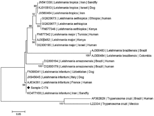 10.1177_2055116917740454-fig3.tif