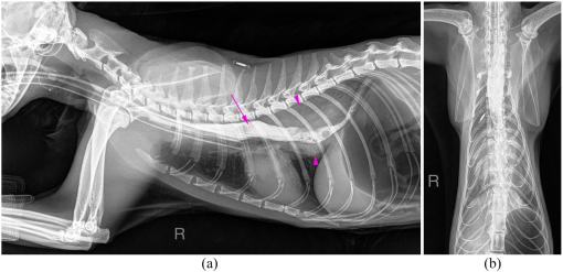 10.1177_2055116919874902-fig2.tif