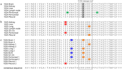 10.1177_20551169221074226-fig3.tif