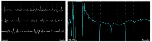 10.1177_20551169221074948-fig2.tif