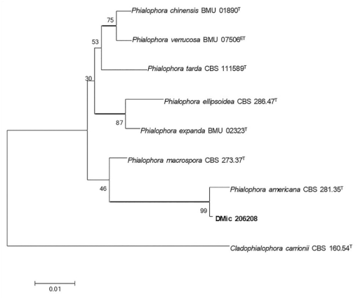 10.1177_20551169221077611-fig6.tif