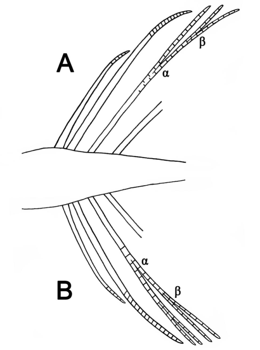 img-z4-2_01.jpg