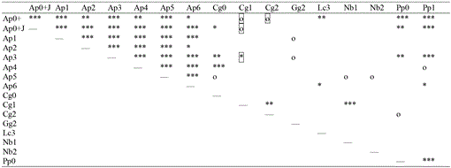 t04_240.gif