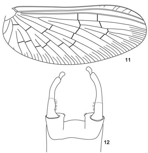 f11_01.jpg