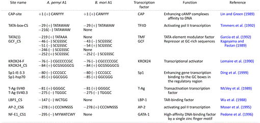 t01_01.gif