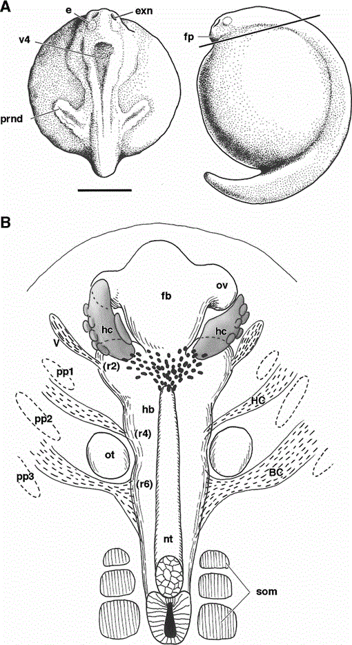 i0289-0003-17-7-911-f02.gif