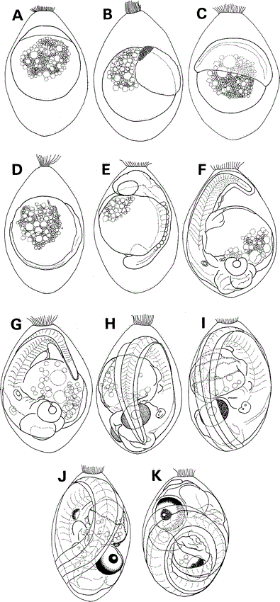 i0289-0003-18-1-91-f02.gif