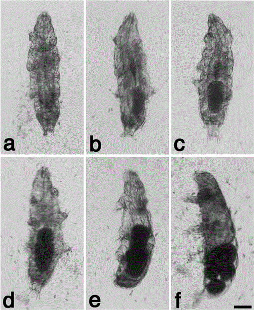 i0289-0003-20-1-49-f05.gif