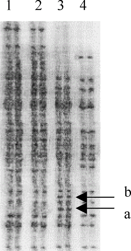 i0289-0003-20-11-1389-f01.gif