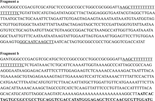 i0289-0003-20-11-1389-f02.gif