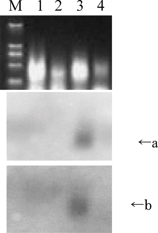 i0289-0003-20-11-1389-f03.gif