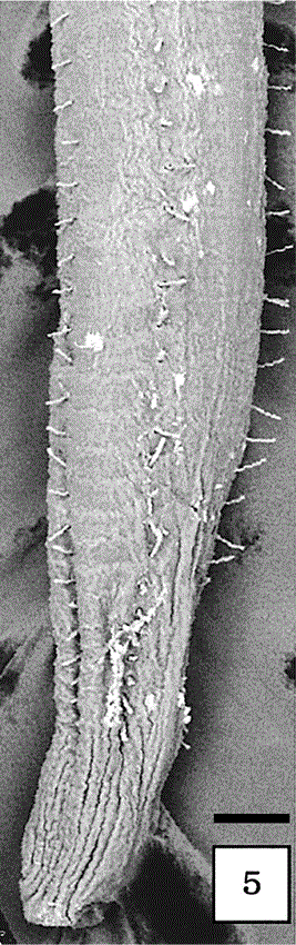 i0289-0003-20-11-1411-f05.gif
