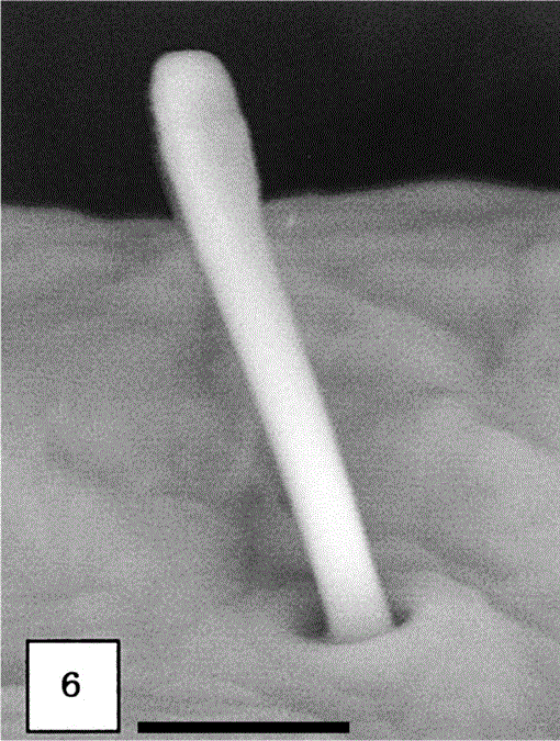 i0289-0003-20-11-1411-f06.gif