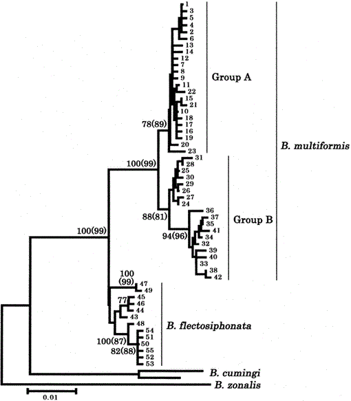 i0289-0003-20-11-1423-f04.gif