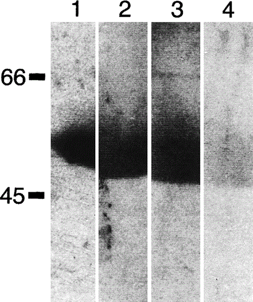 i0289-0003-20-6-709-f03.gif