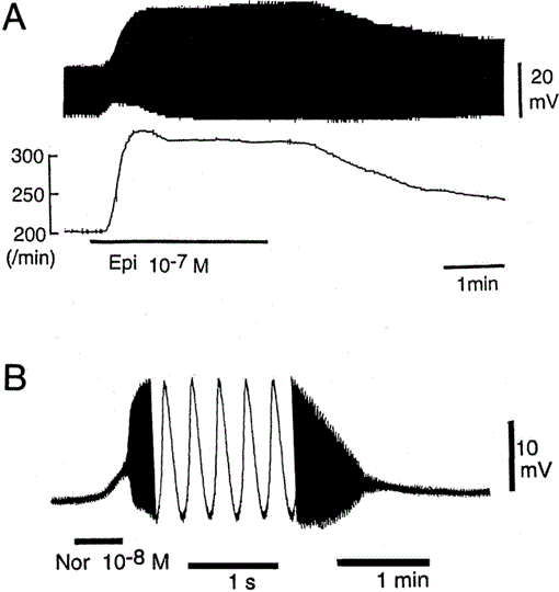 i0289-0003-20-7-841-f04.gif