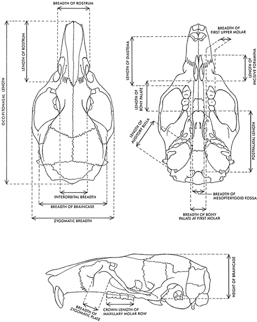 i0003-0082-3368-1-1-f03.gif