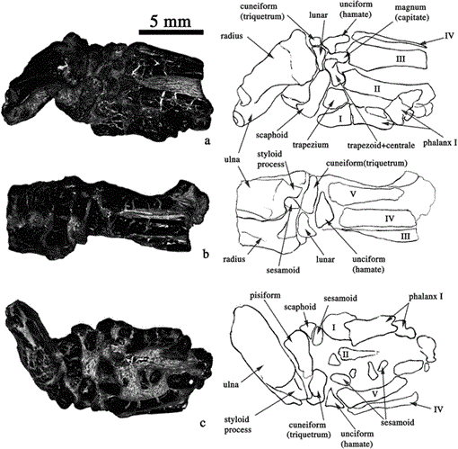 i0003-0082-3371-1-1-f15.gif