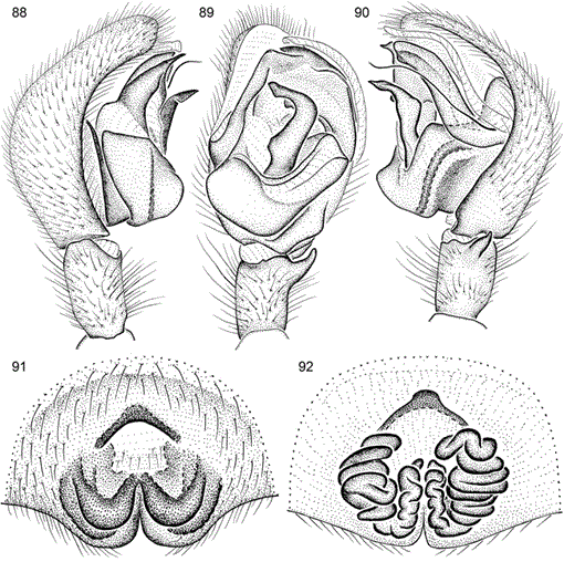 i0003-0082-3579-1-1-f88.gif