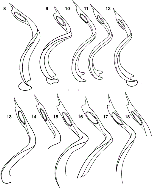 i0003-0082-3607-1-1-f08.gif