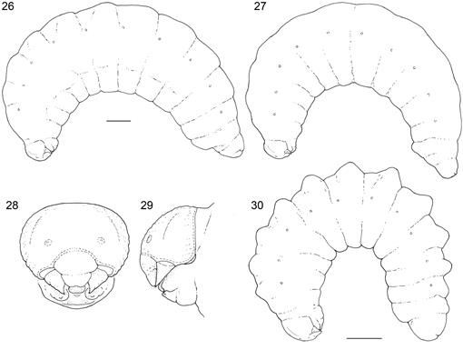 f26_01.jpg