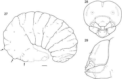 f27_01.jpg