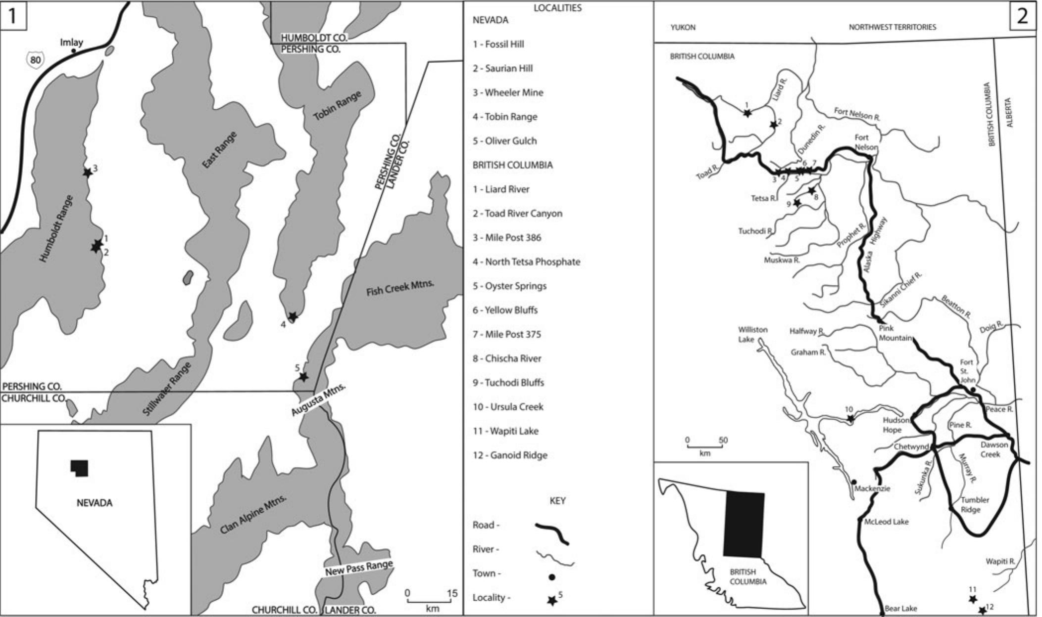 The Neogondolella constricta (Mosher and Clark, 1965) group in the ...