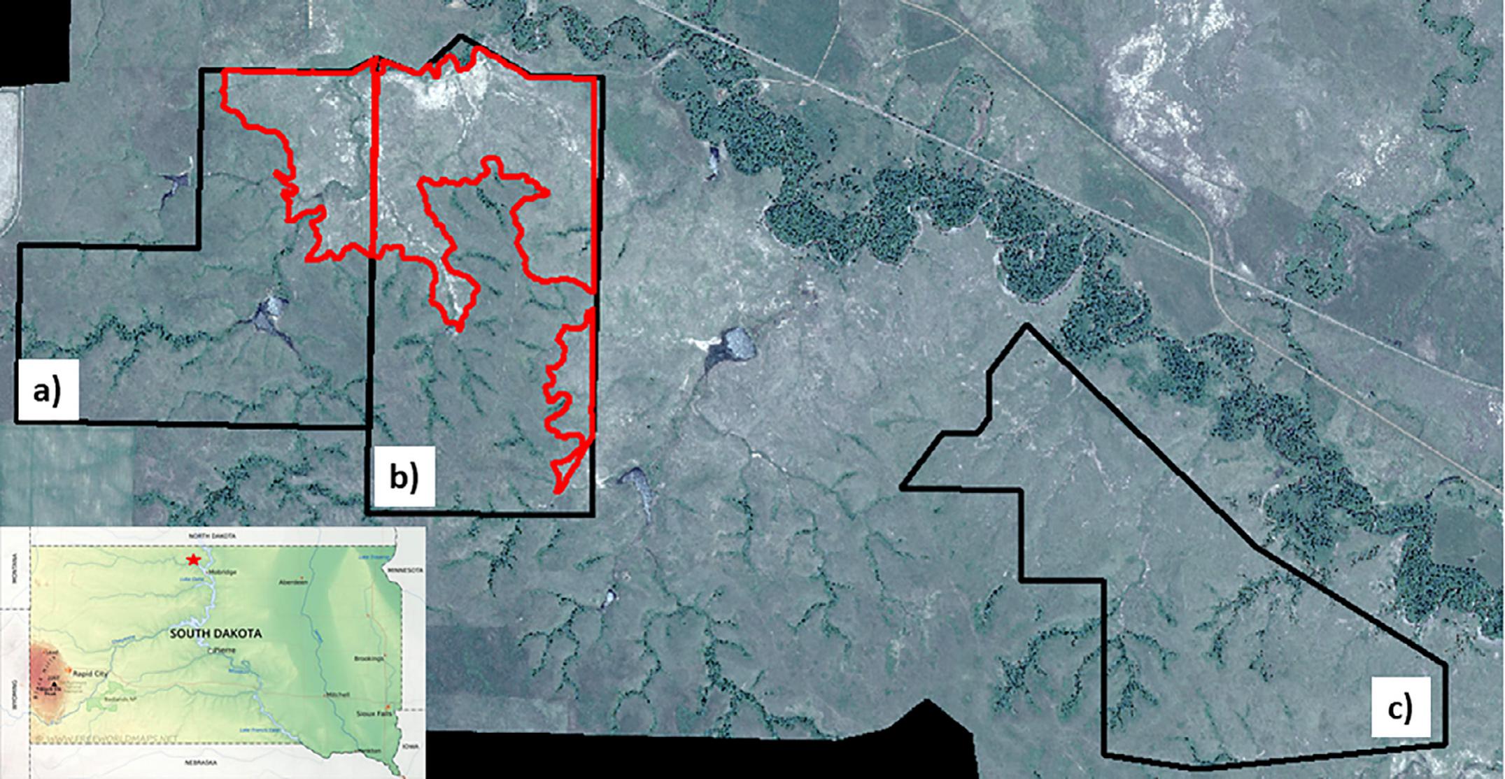 Grazing Behavior, Forage Quality, and Intake Rates of Livestock Grazing ...