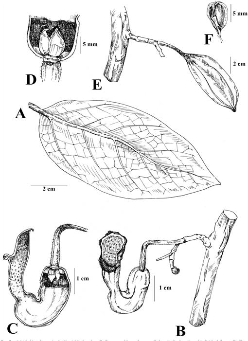 f05_671.jpg