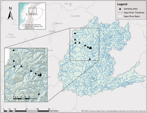 10.1177_1940082917709598-fig1.tif