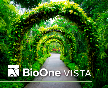 BioOne VISTA. A pathway lined with planted arches at the Singapore Botanic Gardens