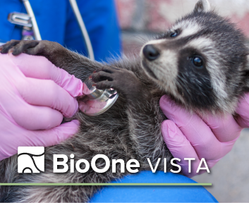 BioOne Vista. A veterinarian holds a stethoscope to a raccoon