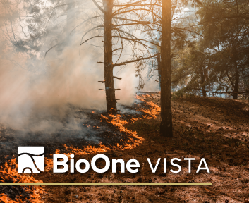 BioOne Vista. Photo of a line of wildfire in a forest