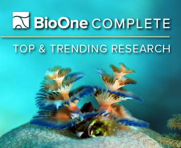 BioOne Vista. Photo of Christmas tree worms on coral