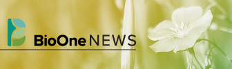 BioOne News logo. Lewis flax wildflowers blooming.