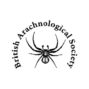 British Arachnological Society Logo