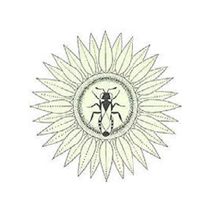 Kansas Entomological Society Logo