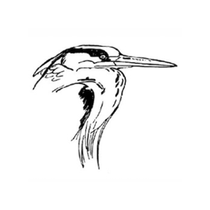 Netherlands Ornithologists' Union Logo
