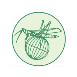 Orthopterists' Society Logo