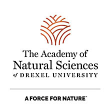 The Academy of Natural Sciences of Philadelphia Logo