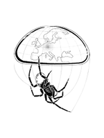 Arachnologische Gesellschaft e.V. Logo