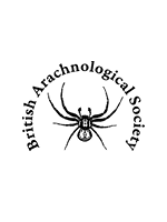 British Arachnological Society Logo